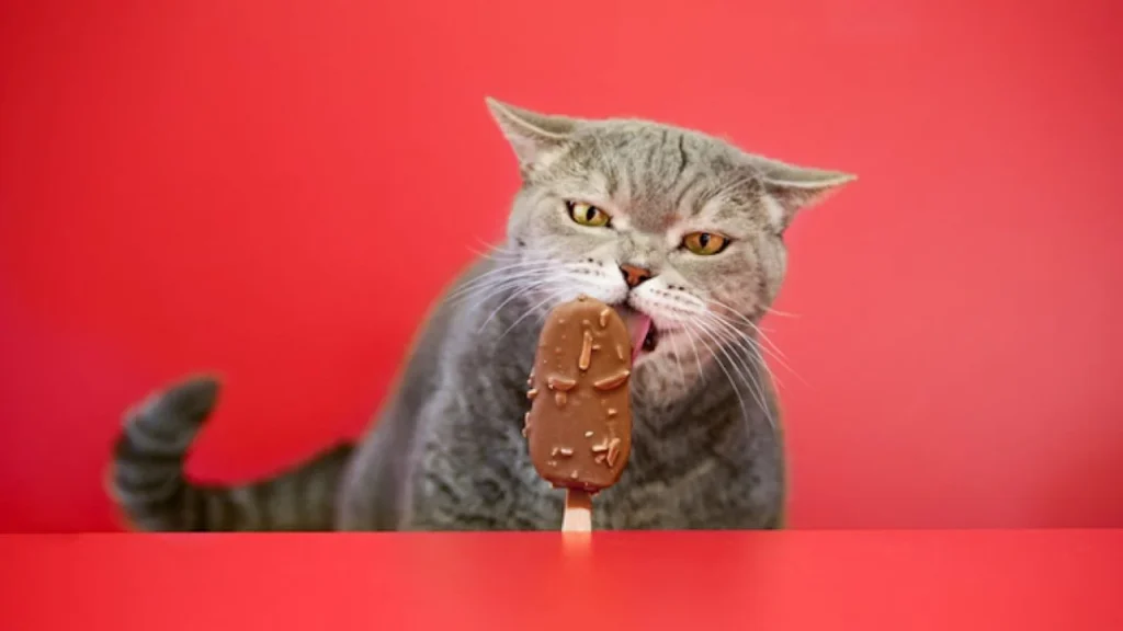 Can cats eat chocolate | Healthier Pets Today