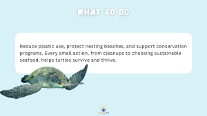A sea turtle swims under a text box that explains how to help conservation efforts, including reducing plastic use and supporting sustainable seafood. // Healthier Pets Today