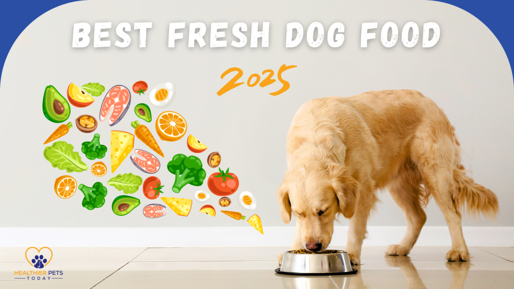 A golden retriever eats from a silver dog bowl on the floor, with colorful illustrations of fresh ingredients like salmon, avocado, leafy greens, oranges, and eggs surrounding it. The text reads "Best Fresh Dog Food 2025" with the Healthier Pets Today logo in the corner // Healthier Pets Today
