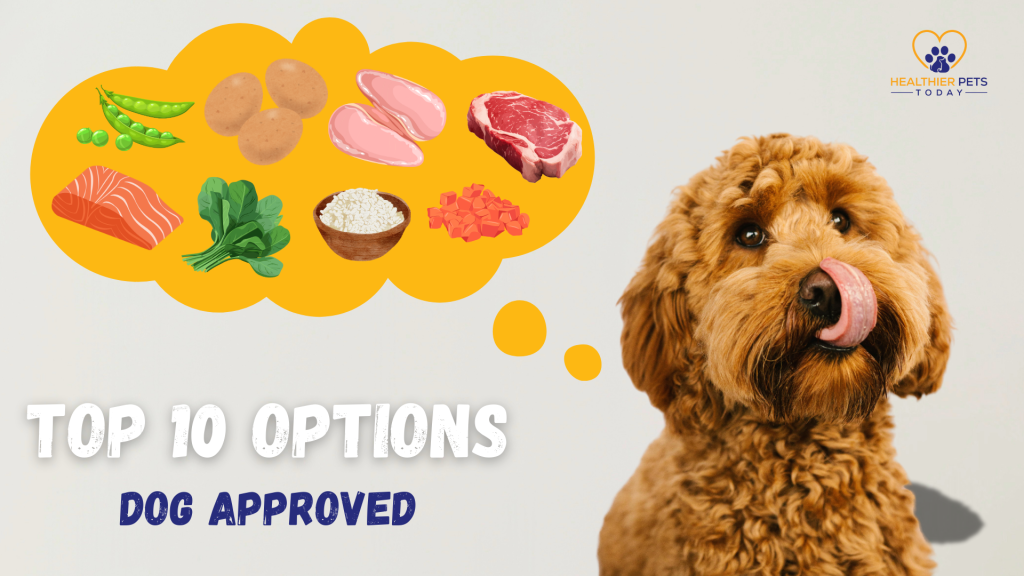 A happy brown dog licks its lips while imagining a thought bubble filled with ingredients like salmon, beef, chicken, spinach, rice, sweet potatoes, and peas. These represent top choices for the best fresh dog food. The image includes the text "Top 10 Options" and "Dog Approved" along with the Healthier Pets Today logo // Healthier Pets Today