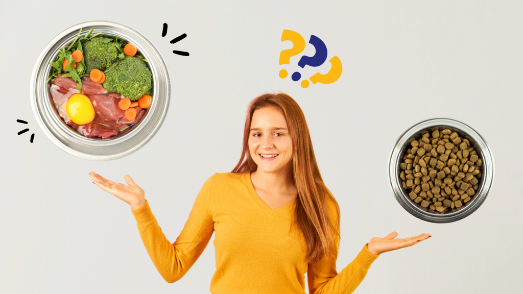 A young woman in a yellow shirt stands between two bowls, appearing to compare fresh dog food on the left (with meat, egg, broccoli, and carrots) and dry kibble on the right. Colorful question marks float above her head, suggesting a decision between the two options // Healthier Pets Today