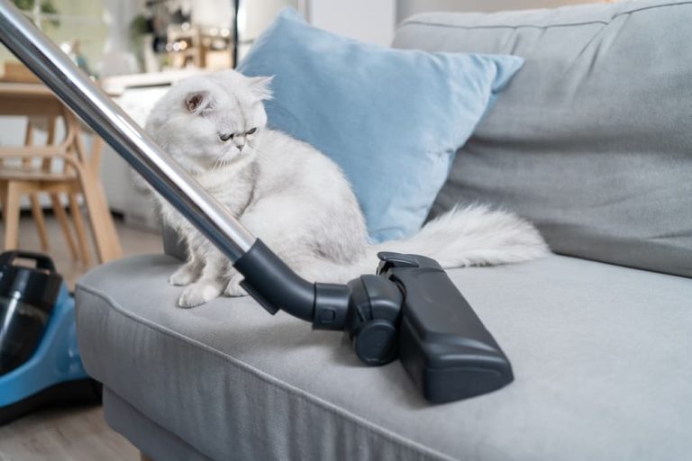 https://www.greatpetcare.com/pet-cleaning/how-to-choose-best-pet-vacuum/