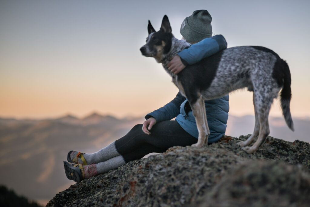 Skin Allergies | Healthier Pets Today