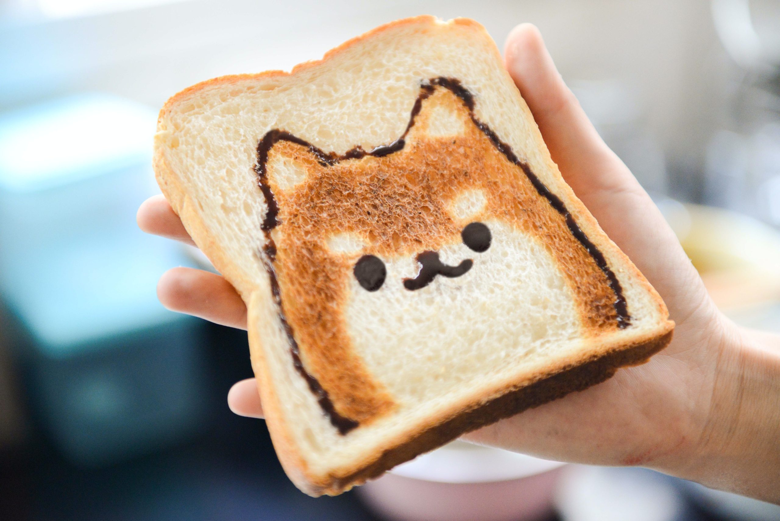 What is the Best Wet Food For German Shepherd Dogs? - Healthier Pets Today