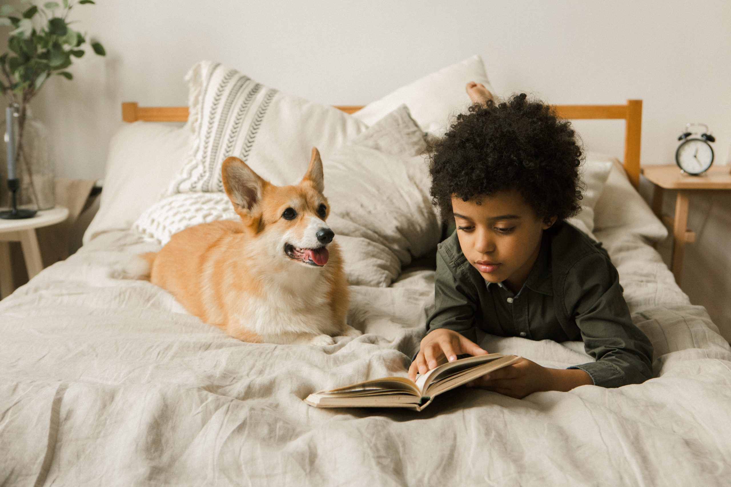 boys and a dog homemaking homeschooling tips for busy folks - Healthier Pets Today