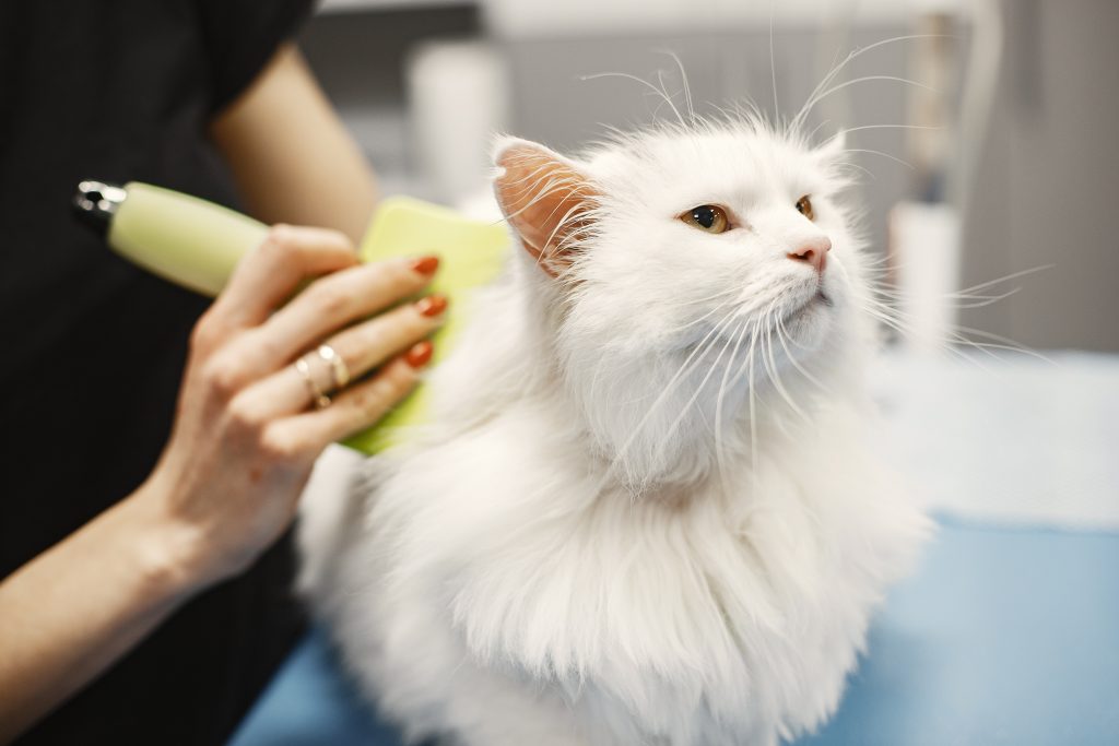 mobile pet grooming - Healthier Pets Today