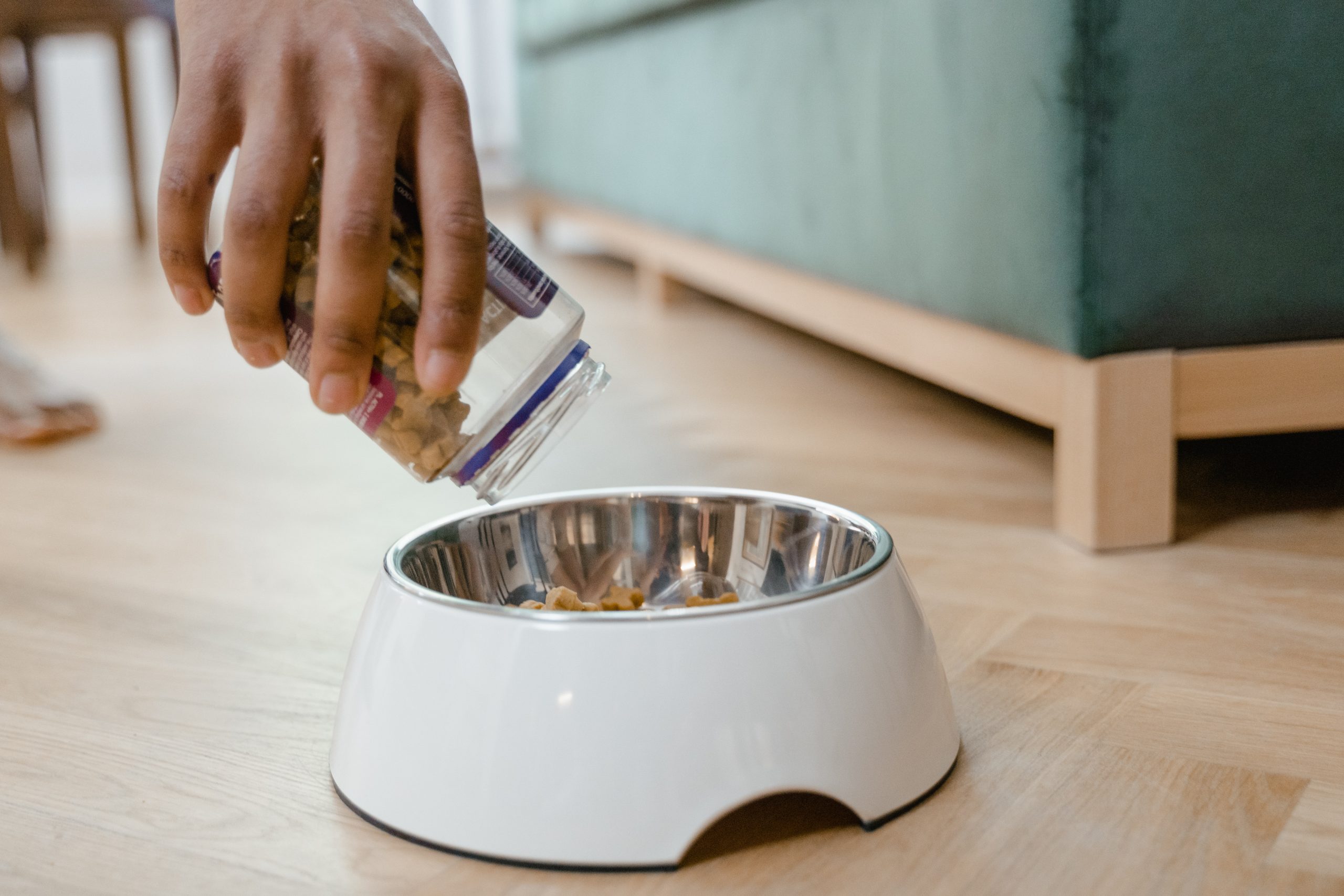 open farm dog food - Healthier Pets Today