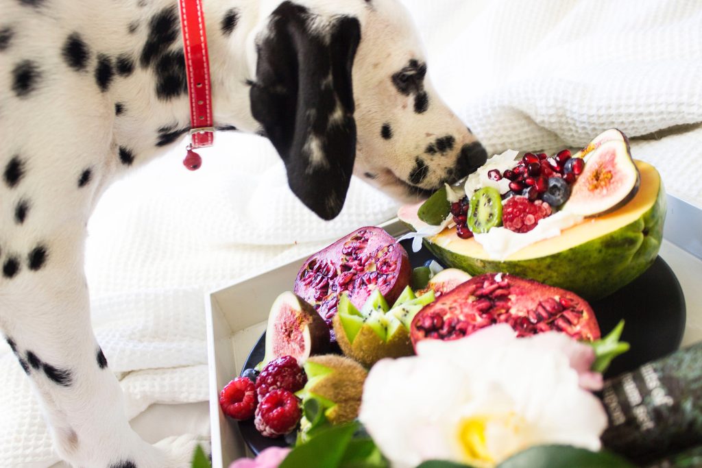 yellow apples - Healthier Pets Today