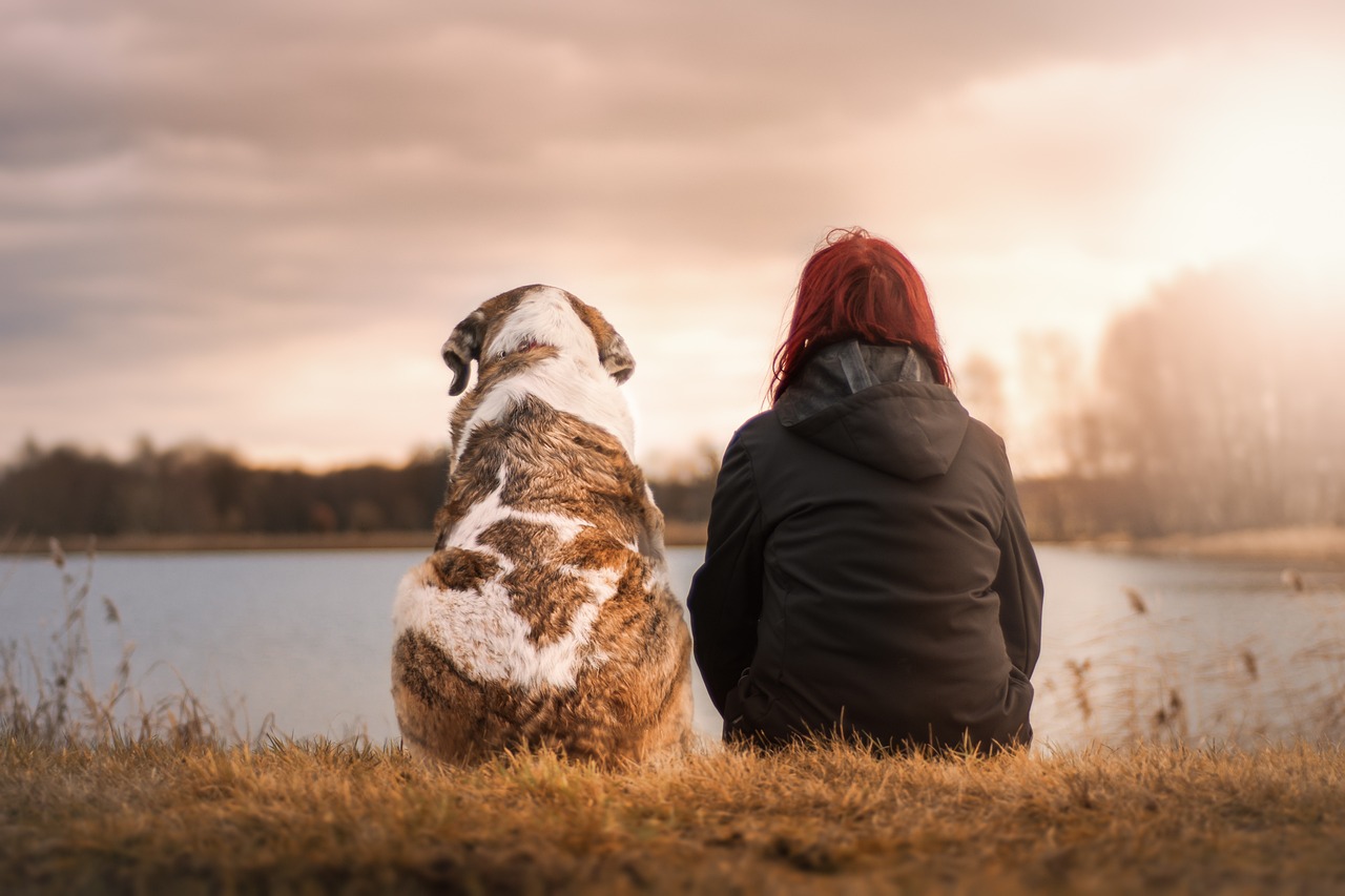 10 Surprising Benefits of Probiotics for Dogs