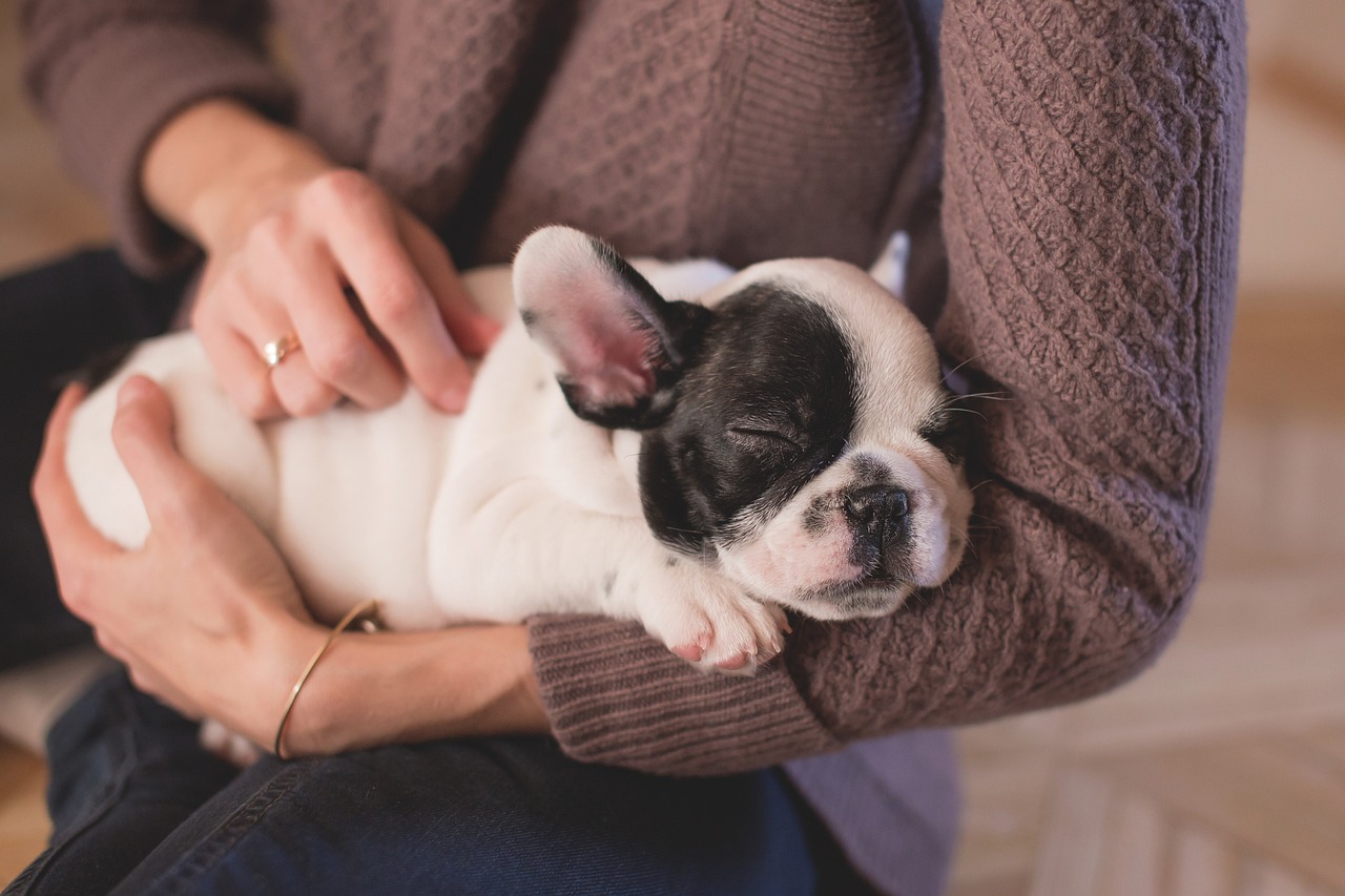 Sustainable Pet Ownership: Eco-Friendly Practices