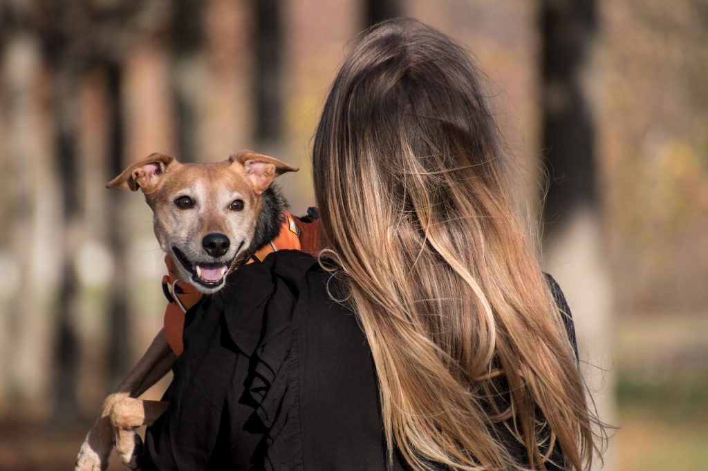 The Comprehensive Guide to Allergy-Friendly Pets