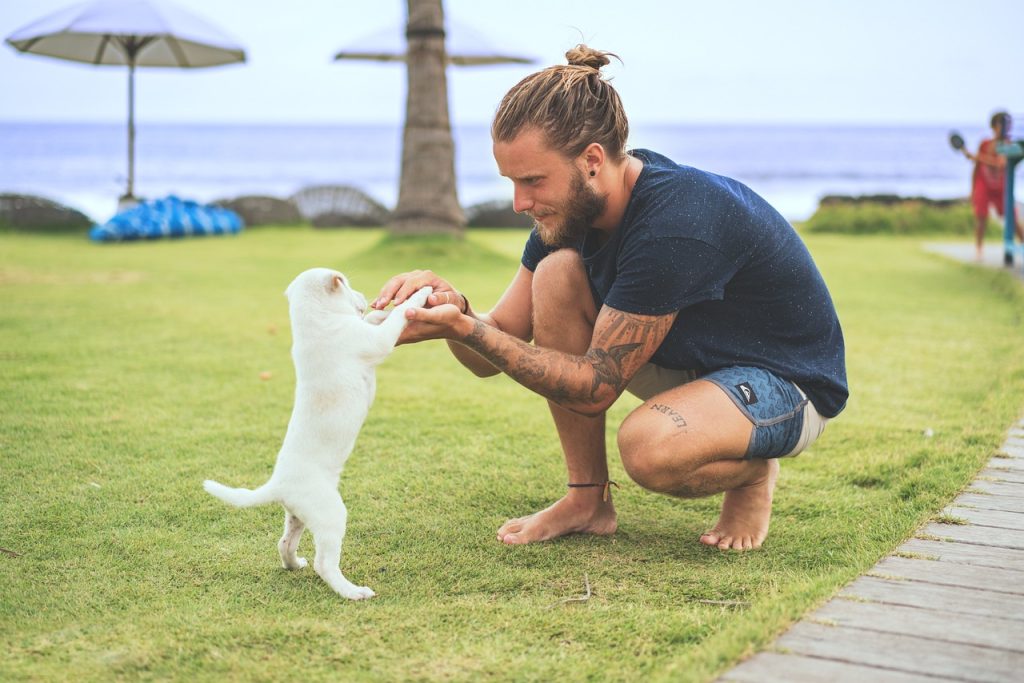 signs of rabies in dogs, cats and other pets