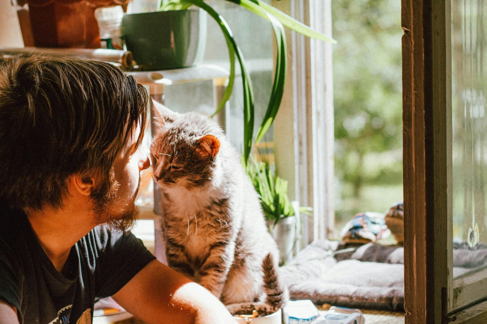 cat giving his owner affection, man with brown hair close to window, plants behind human and cat // Healthier Me Today