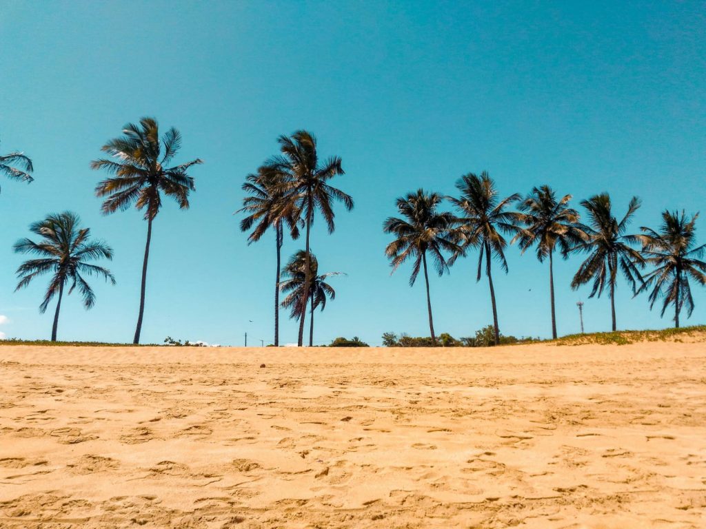 palm trees, blue sky, beach sand // Healthier Me Today