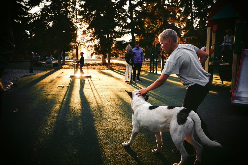 dog at playground, dark out, sun shining through trees, man holding dog, big trees tar ground // Healthier Me Today