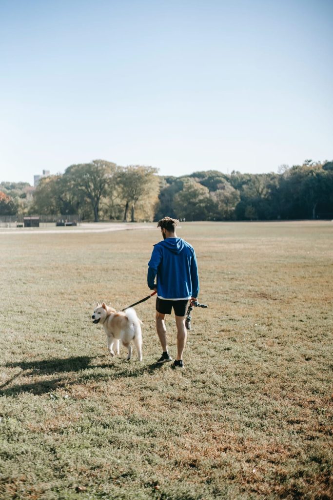 man walking with dog at park, lot's of trees, man wearing blue and black, unhealthy grass // Healthier Pets Today