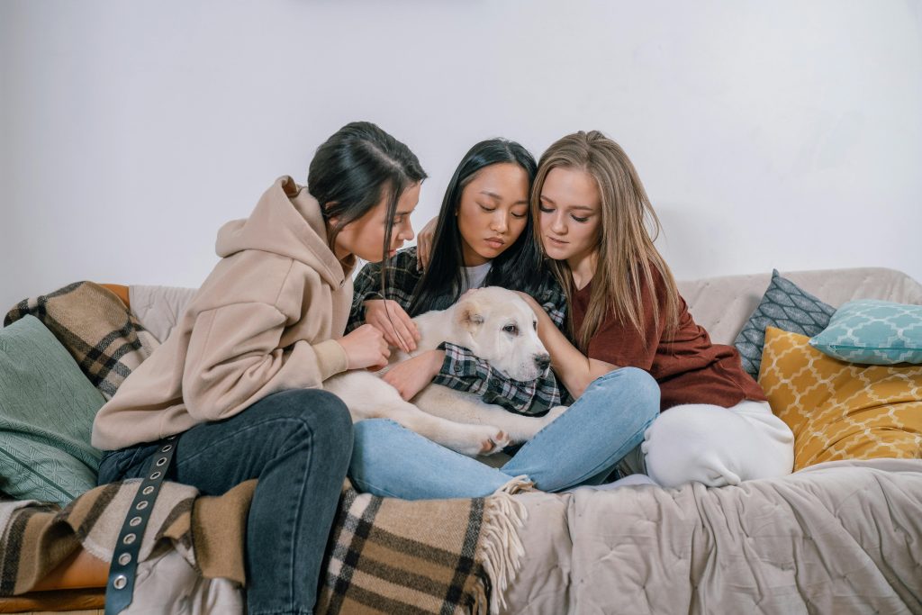 Pets and Mental Health, A Group of Women Embracing Support Dog // Healthier Pets Today