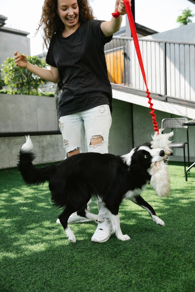 Smiling female playing with dog in yard on grassy lawn // Healthier Pets Today