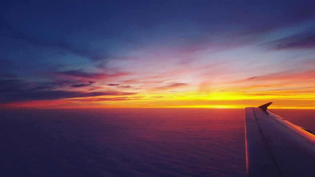 Window View of Airplane // Healthier Pets Today

