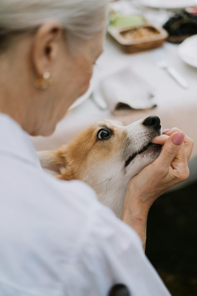 Smiling Elderly Woman Holding Her Senior Pets // Healthier Pets Today