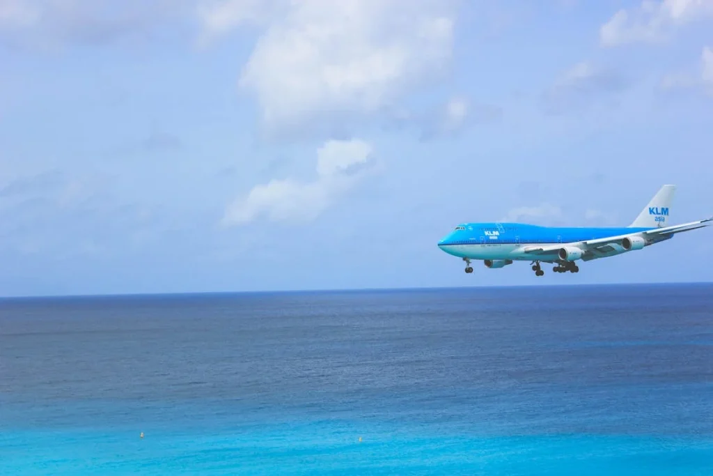 White and Blue Passenger Plane // Healthier Pets Today