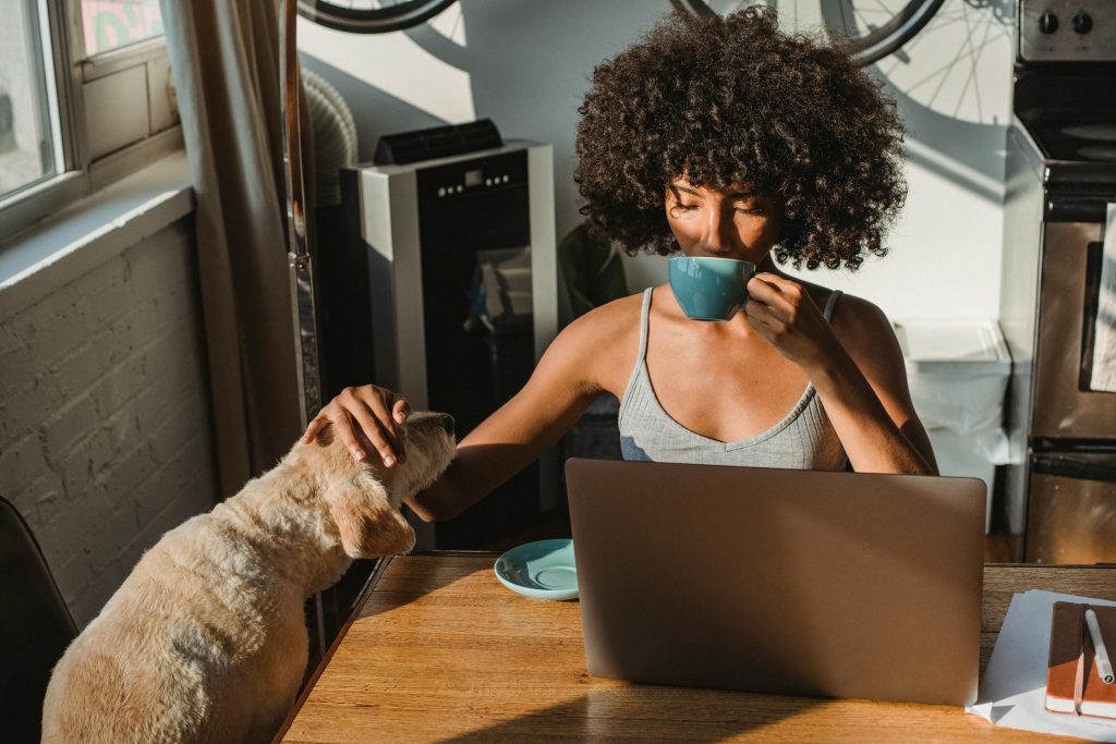 African American female freelancer using laptop and drinking coffee // Healthier Pets Today
