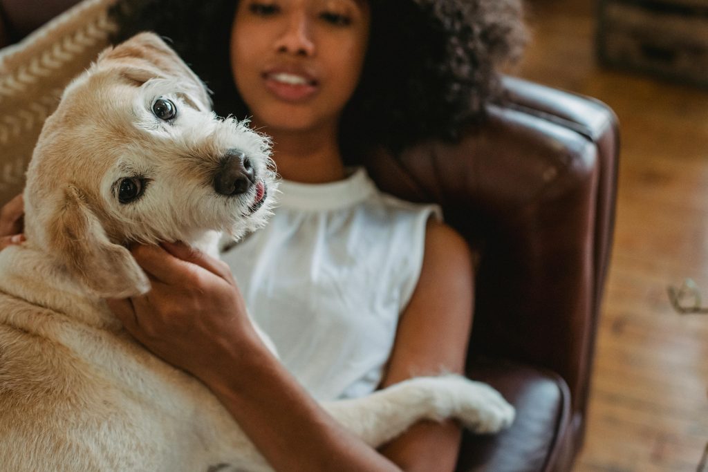 pets and mental health, woman sitting with dog, on sofa, white dog // Healthier Me Today