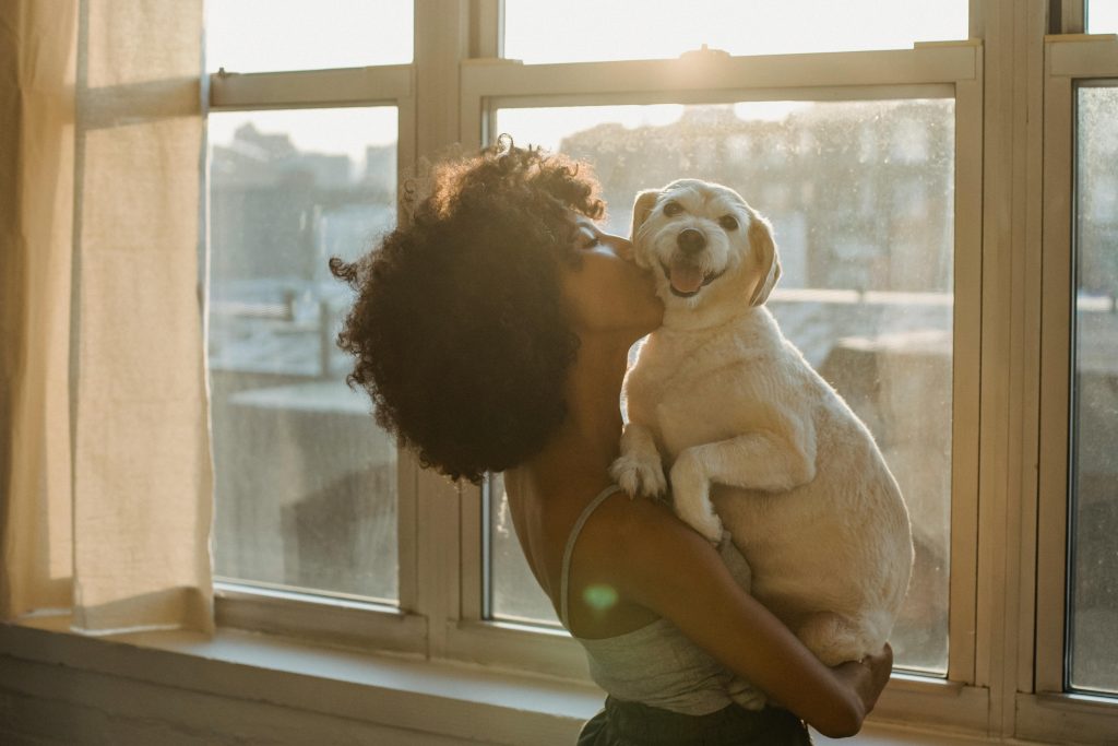 woman with afro hair, holding dog, showing affection, big window, sun shining, white walls // Healthier Pets Today