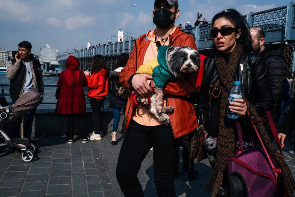 Traveling with Pets, Couple with Dog on Galata Bridge // Healthier Pets Today