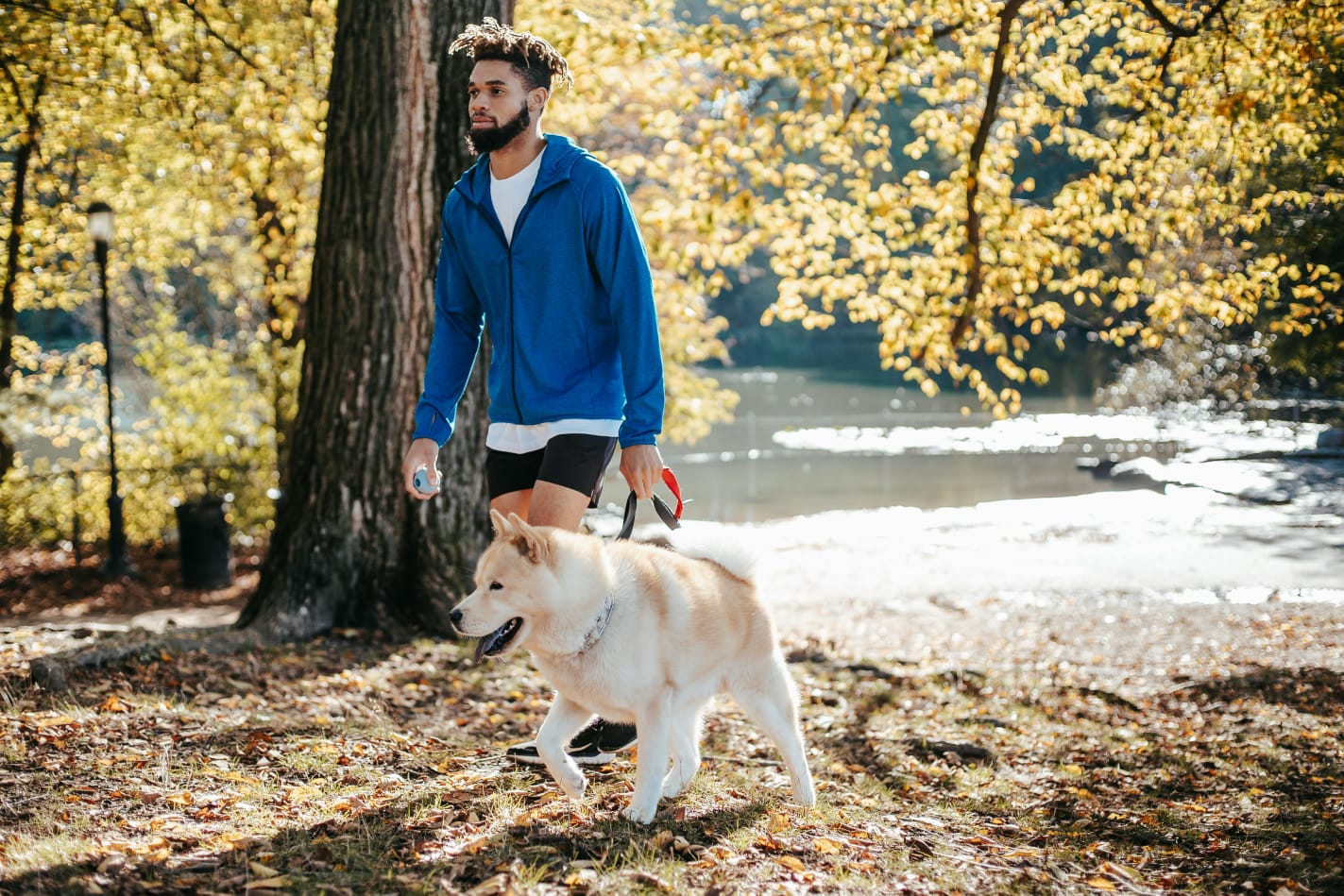 man walking a dog in forest, fall season, big fluffy dog // Healthier Pets Today