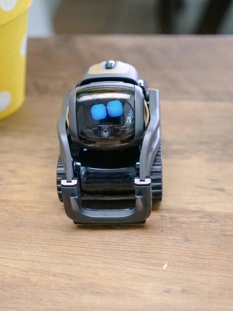 High Angle Shot of Black Miniature Toy // Healthier Pets Today