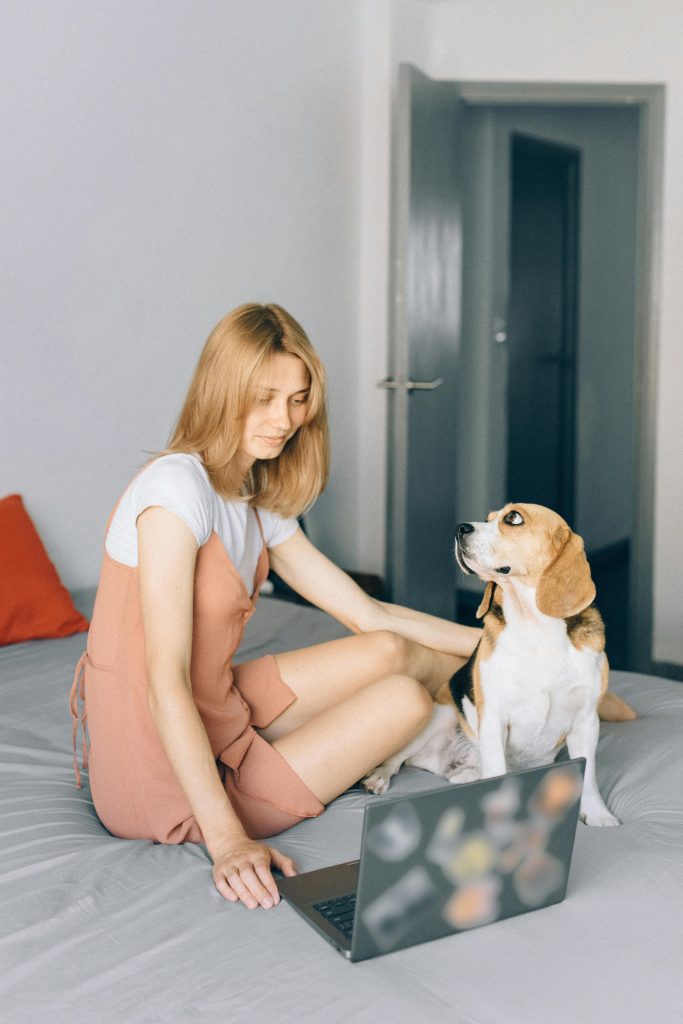 Woman Sitting in Bed with Her Laptop and Her Dog // Healthier Pets Today