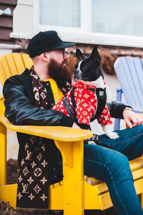 Man in Black Jacket and Blue Denim Jeans Sitting on Yellow Wooden Chair With Black and White Dog // Healthier Pets Today