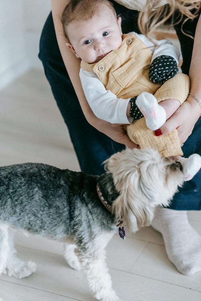 Faceless mother with baby near dog
// Healthier Baby Today