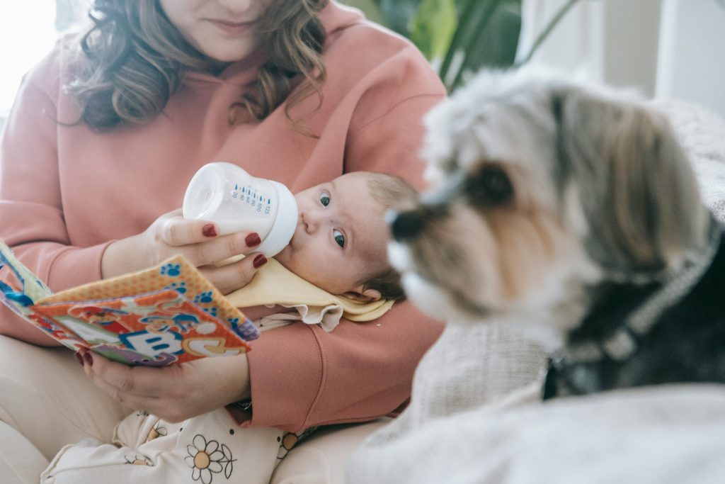 Faceless mother feeding newborn baby near dog // Healthier Pets Today