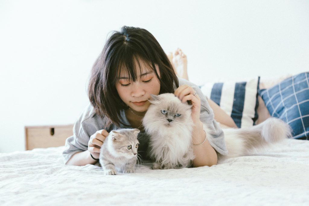 Woman Lying On Bed With Two Cats // Healthier Pets Today