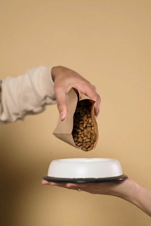 A Person Pouring Puppy Food on the Bowl // Healthier Pets Today