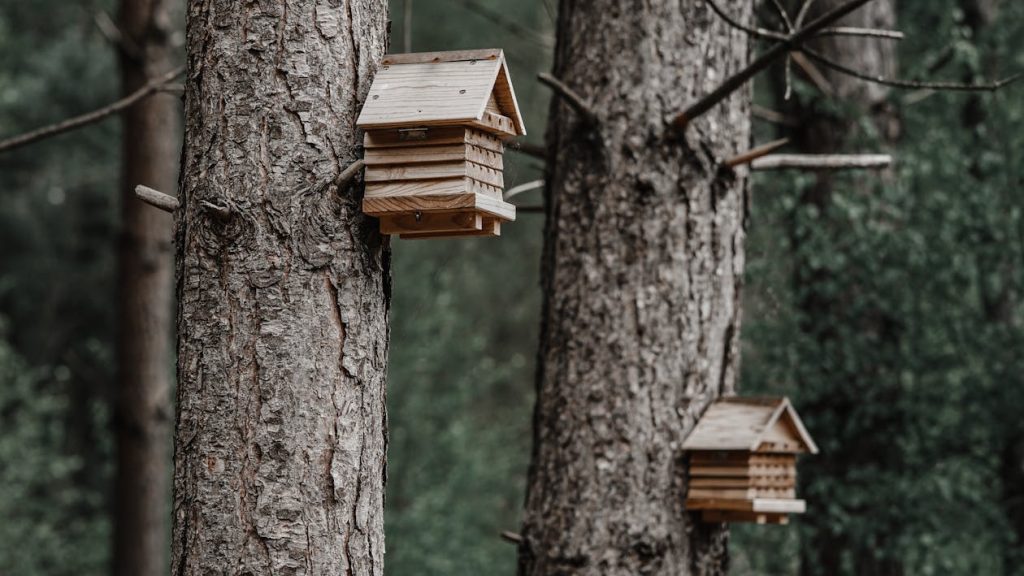 Brown Wooden Bird Houses // Healthier Pets Today