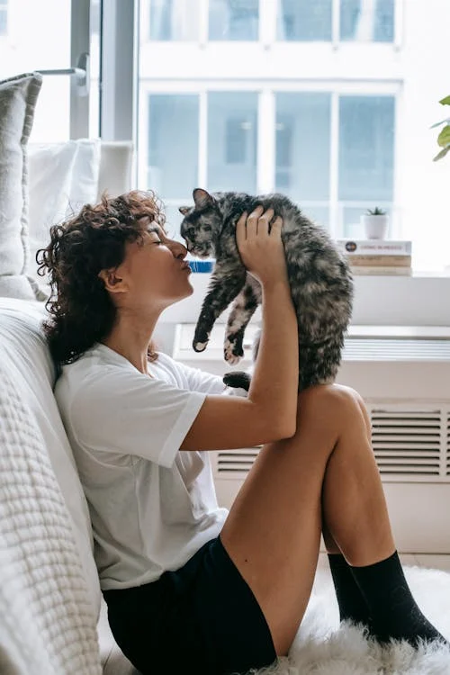Charming woman kissing cute cat in bedroom // Healthier Pets Today