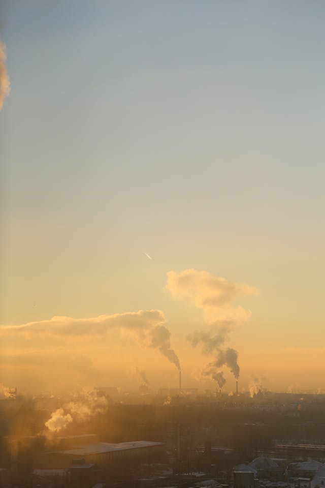 Emission of Smoke from Smokestacks // Healthier Pets Today