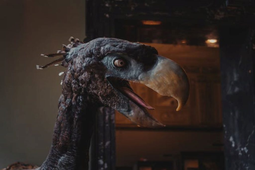 Extinct Birds Exhibit in Museum // Healthier Pets Today