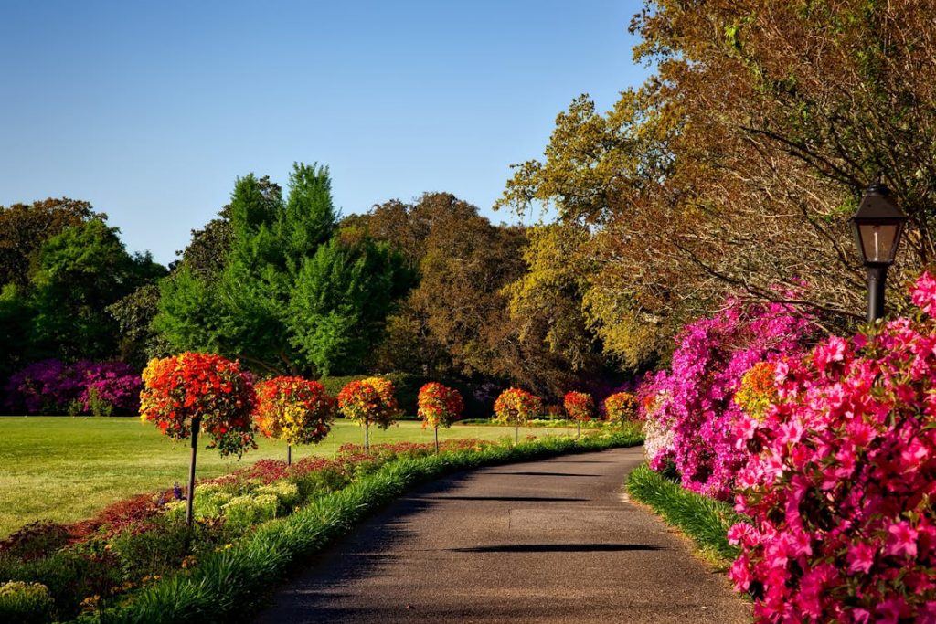 Gray Concrete Pathway Besides Pink Flower during Day // Healthier Pets Today
