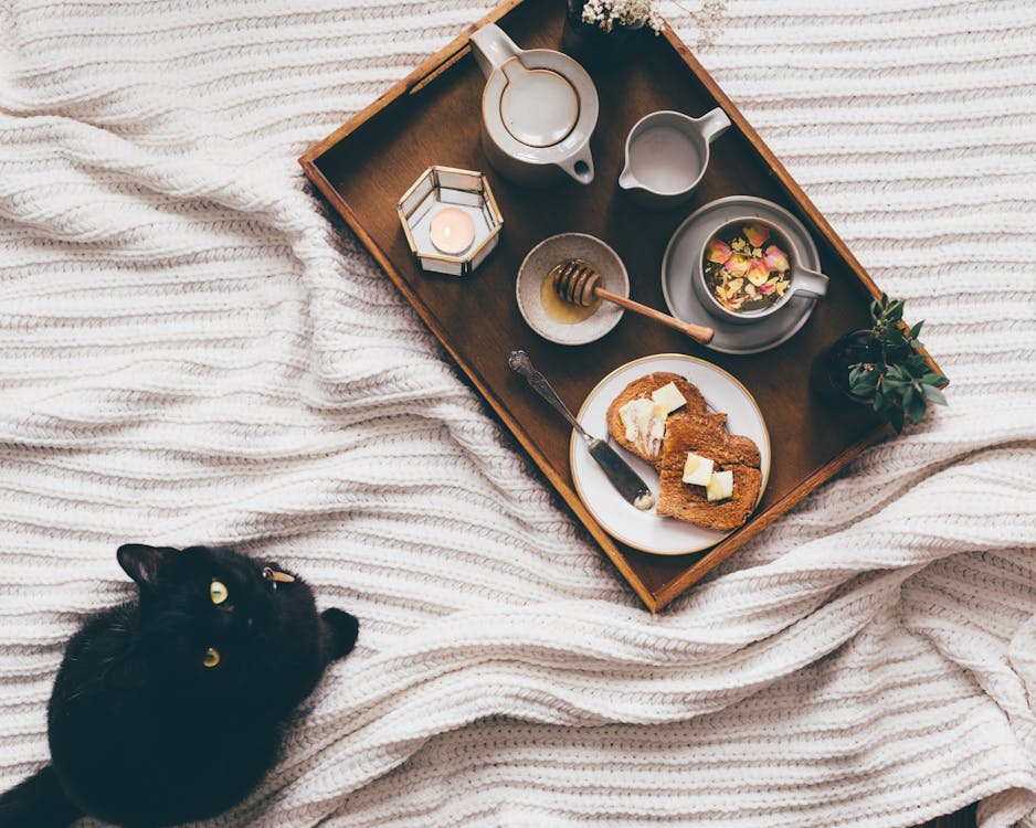 Tray with snack near cat on bed // Healthier Pets Today
