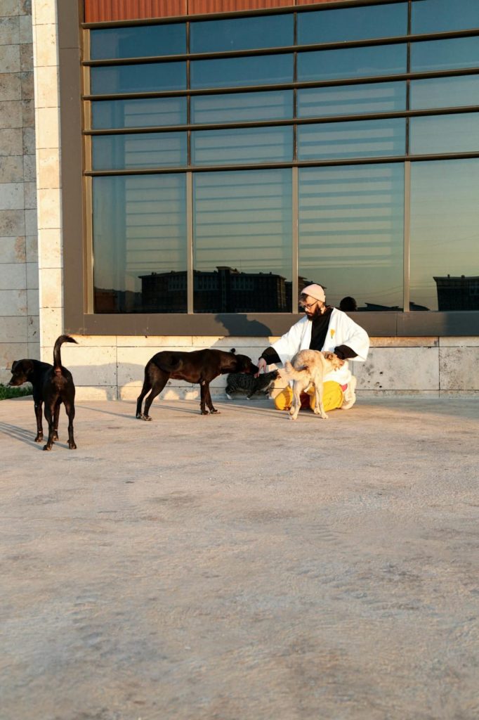 A Man Kneeling on the Ground while Playing with Dogs // Healthier Pets Today