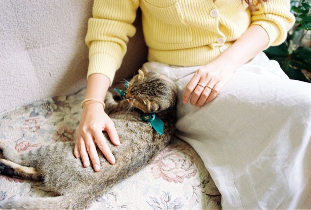 catsitting, Woman Sitting and Patting Cat // Healthier Pets Today