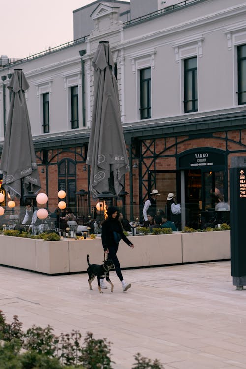 Dog Friendly, Woman Walking Dog by the Restaurant // Healthier Pets Today