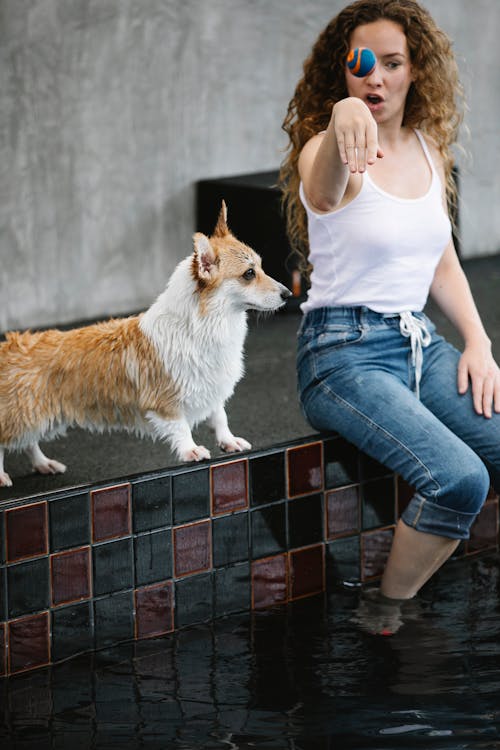 Woman taming Welsh Corgi while throwing ball above pool // Healthier Pets Today