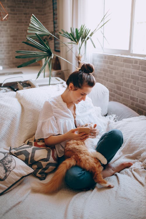 Woman with smartphone stroking cat on sofa // Healthier Pets Today