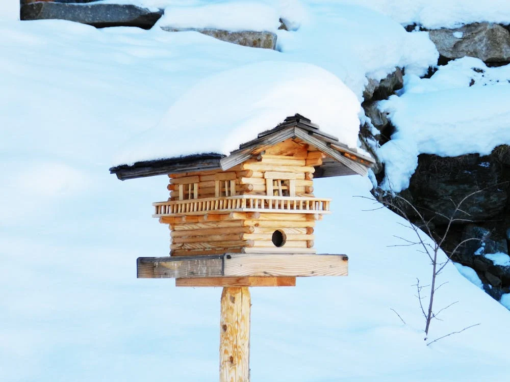 Wooden Bird House // Healthier Pets Today