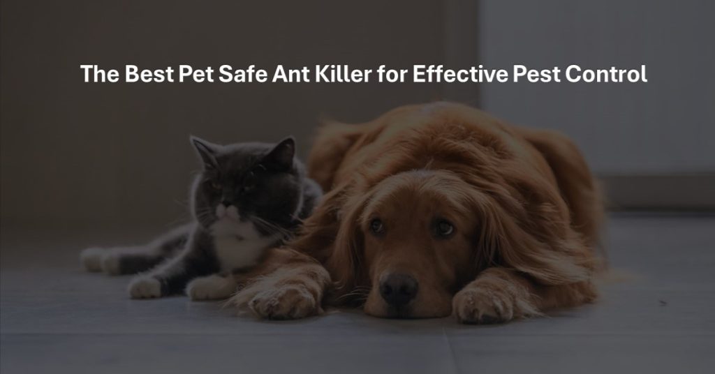dog and cat lying together, pet safe ant killer // Healthier Pets Today